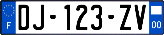 DJ-123-ZV