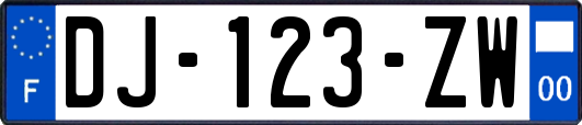 DJ-123-ZW