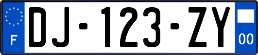 DJ-123-ZY