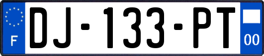 DJ-133-PT