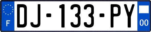 DJ-133-PY