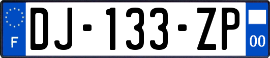 DJ-133-ZP