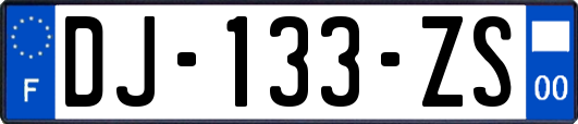 DJ-133-ZS