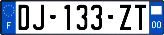 DJ-133-ZT