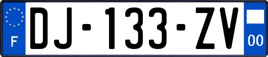 DJ-133-ZV