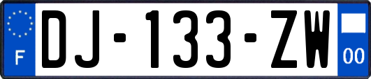 DJ-133-ZW