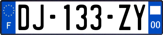 DJ-133-ZY