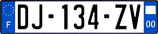 DJ-134-ZV