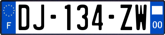 DJ-134-ZW