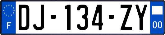 DJ-134-ZY