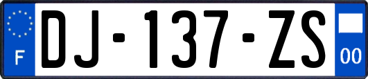 DJ-137-ZS