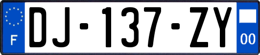 DJ-137-ZY