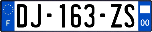 DJ-163-ZS