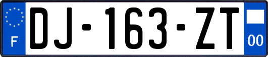 DJ-163-ZT