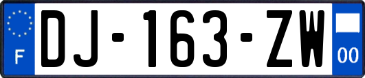 DJ-163-ZW