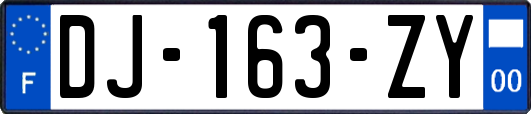 DJ-163-ZY
