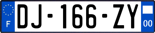 DJ-166-ZY