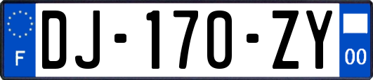 DJ-170-ZY