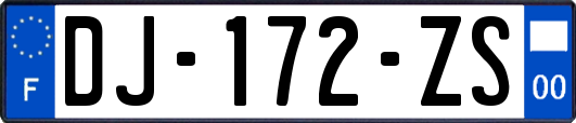 DJ-172-ZS