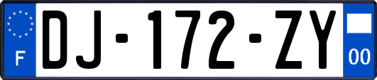 DJ-172-ZY