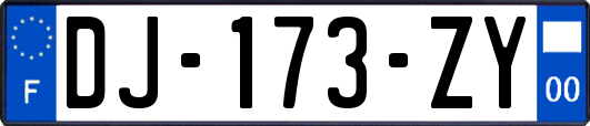 DJ-173-ZY