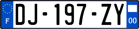 DJ-197-ZY