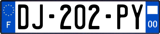 DJ-202-PY
