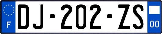 DJ-202-ZS