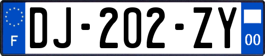 DJ-202-ZY
