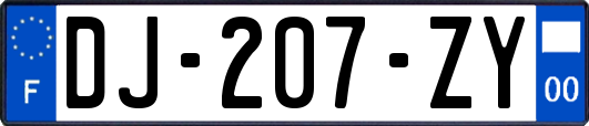 DJ-207-ZY