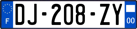 DJ-208-ZY