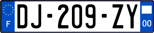 DJ-209-ZY