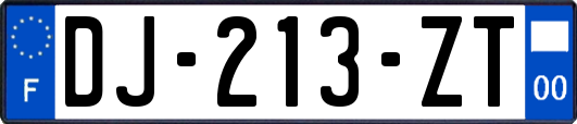DJ-213-ZT