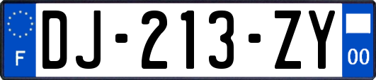 DJ-213-ZY
