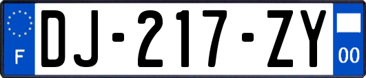 DJ-217-ZY