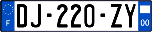 DJ-220-ZY