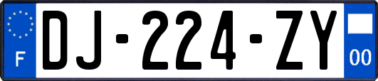 DJ-224-ZY