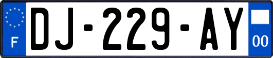 DJ-229-AY