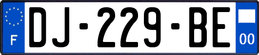 DJ-229-BE