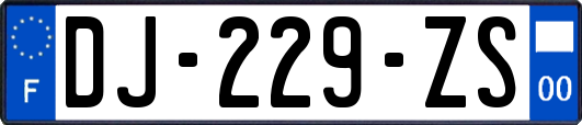 DJ-229-ZS