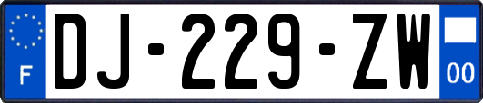 DJ-229-ZW