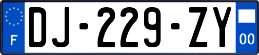 DJ-229-ZY