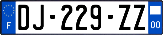 DJ-229-ZZ
