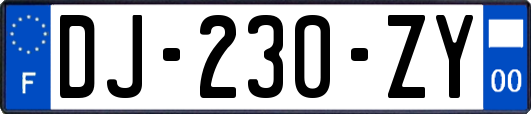 DJ-230-ZY