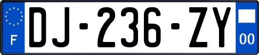 DJ-236-ZY