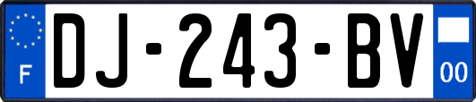 DJ-243-BV