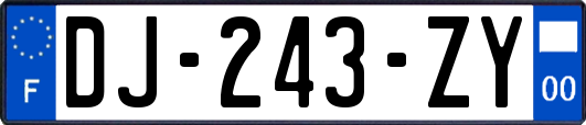 DJ-243-ZY