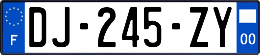 DJ-245-ZY