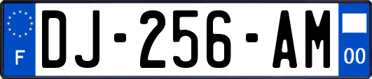 DJ-256-AM