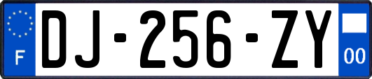 DJ-256-ZY